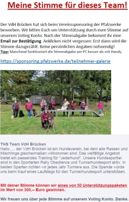 Sponsoring Pfalzwerke 2023