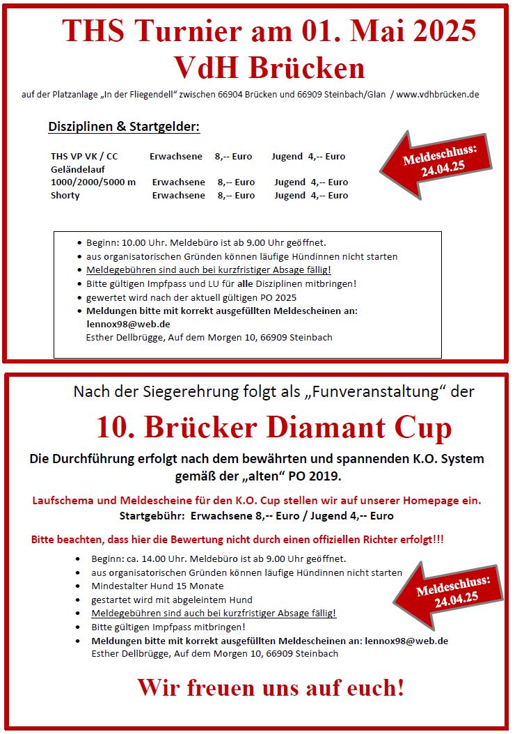 Einladung DiamantCup Brücken 2025